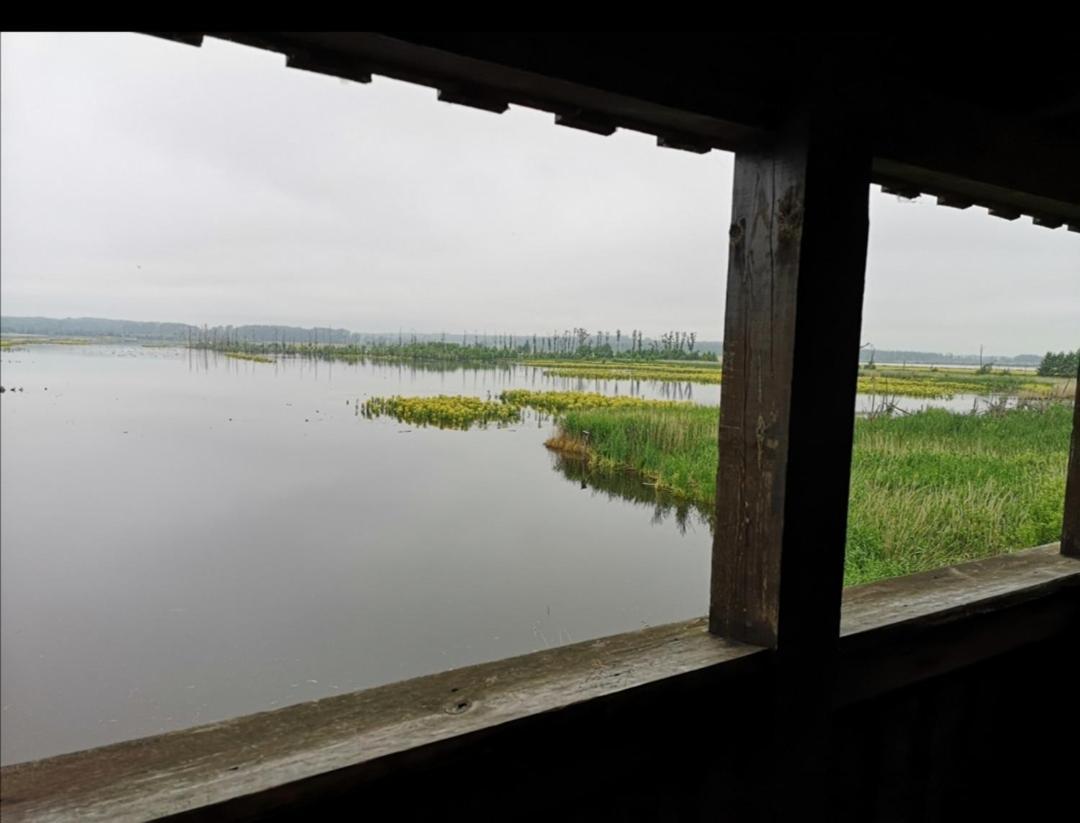 Sommerhaus Verchen Exteriér fotografie